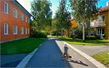 Tomtebo